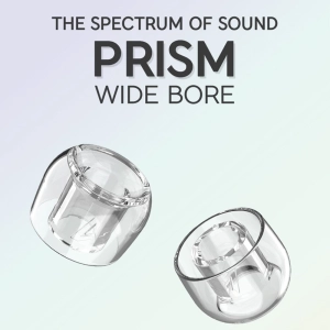 Divinus Prism Wide Bore LSR Eartips For 4-6mm Nozzle